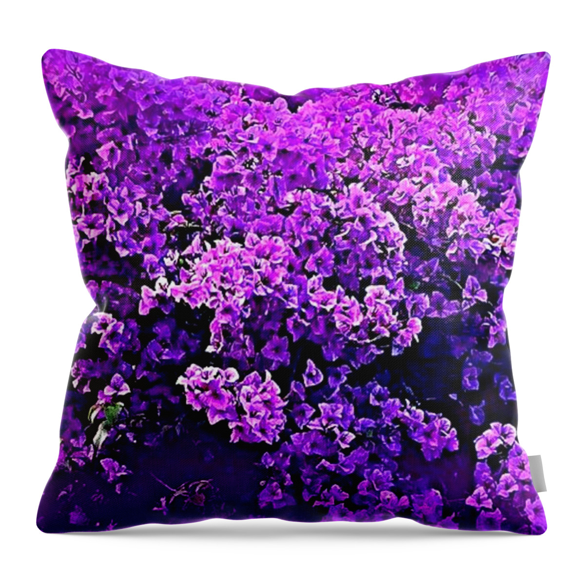 Bougainvillea Throw Pillow featuring the photograph Emilie's Bougainvillea by VIVA Anderson