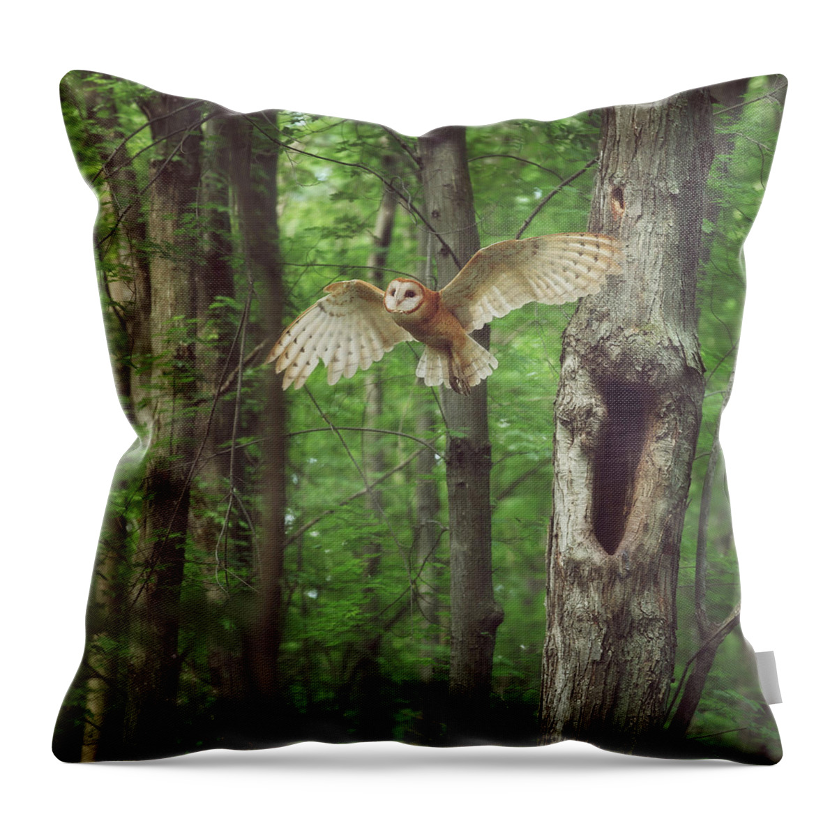 Enchanted Forest Throw Pillow featuring the photograph Enchanted Forest Cropped Version by Carrie Ann Grippo-Pike