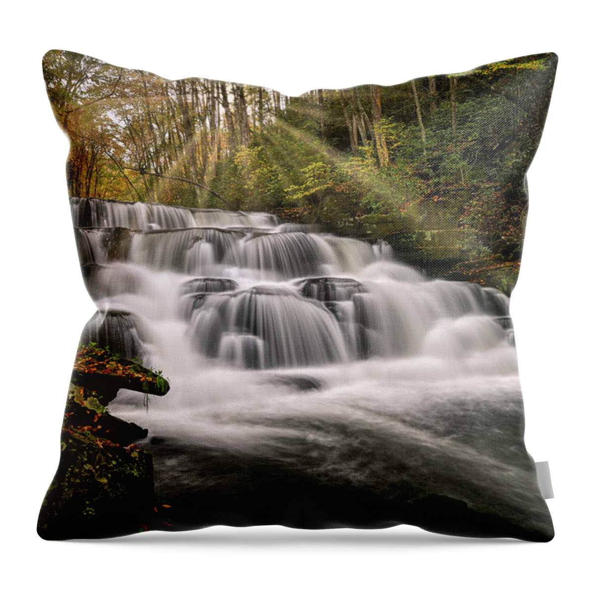 Waterfall Throw Pillow featuring the photograph Enchanted Forest by Eric Haggart
