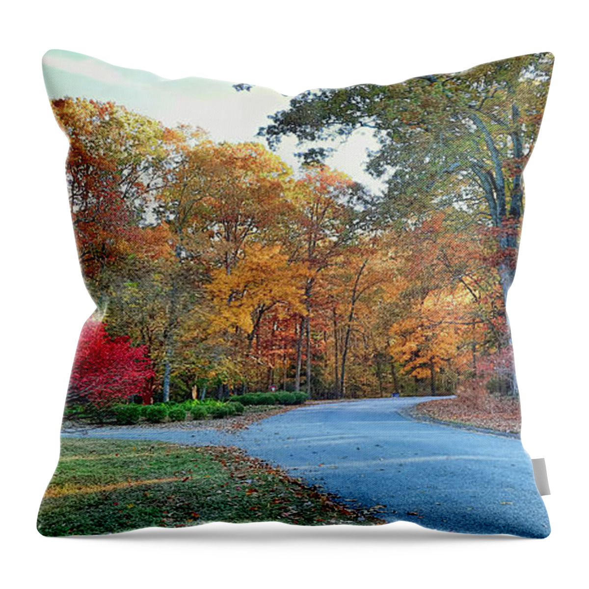 Autumn Throw Pillow featuring the photograph Enchantment of Fall Colors by Ola Allen
