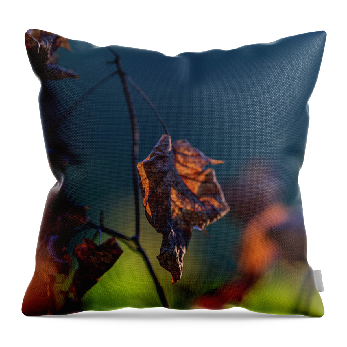 Brown Throw Pillow featuring the photograph End of Autumn by Amelia Pearn