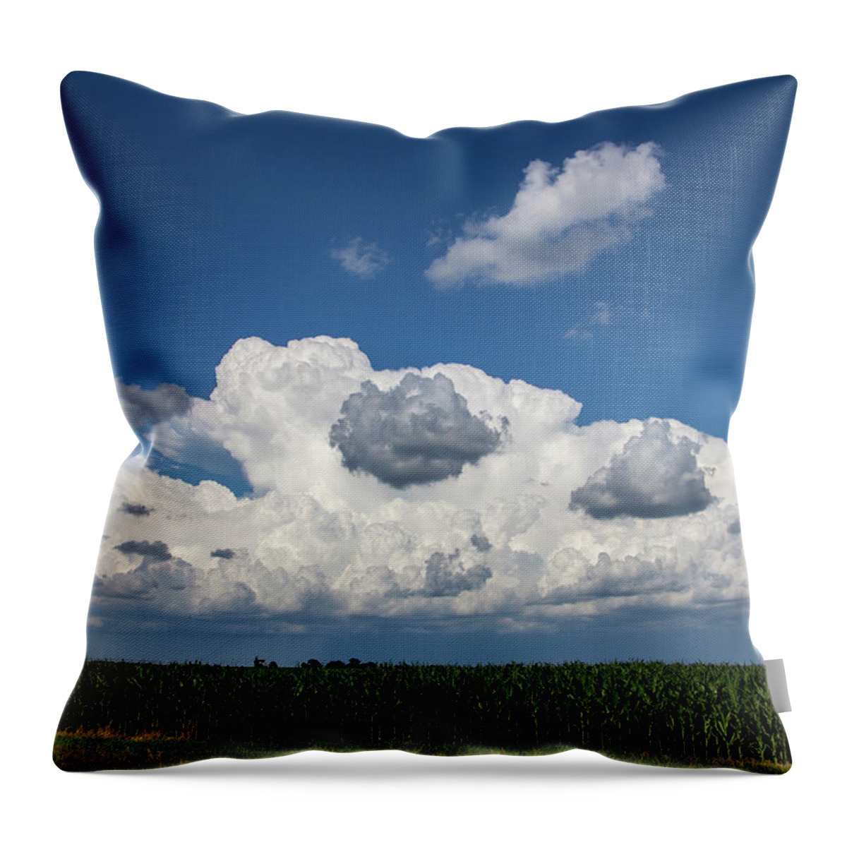 Nebraskasc Throw Pillow featuring the photograph Enjoying some Cotton Candy on the 4th 004 by NebraskaSC