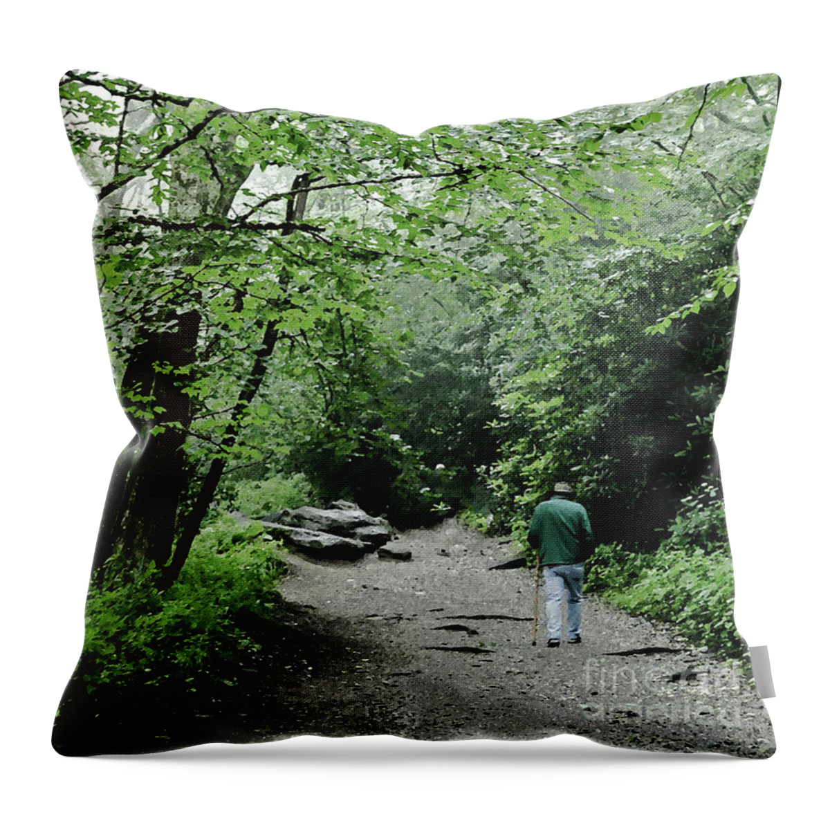 Landscape Throw Pillow featuring the mixed media Enjoying the Quiet by Sharon Williams Eng