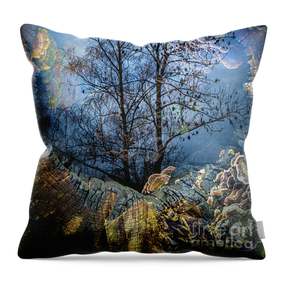 Berkenwoude Throw Pillow featuring the photograph Entrance to the Magic Forest by Casper Cammeraat