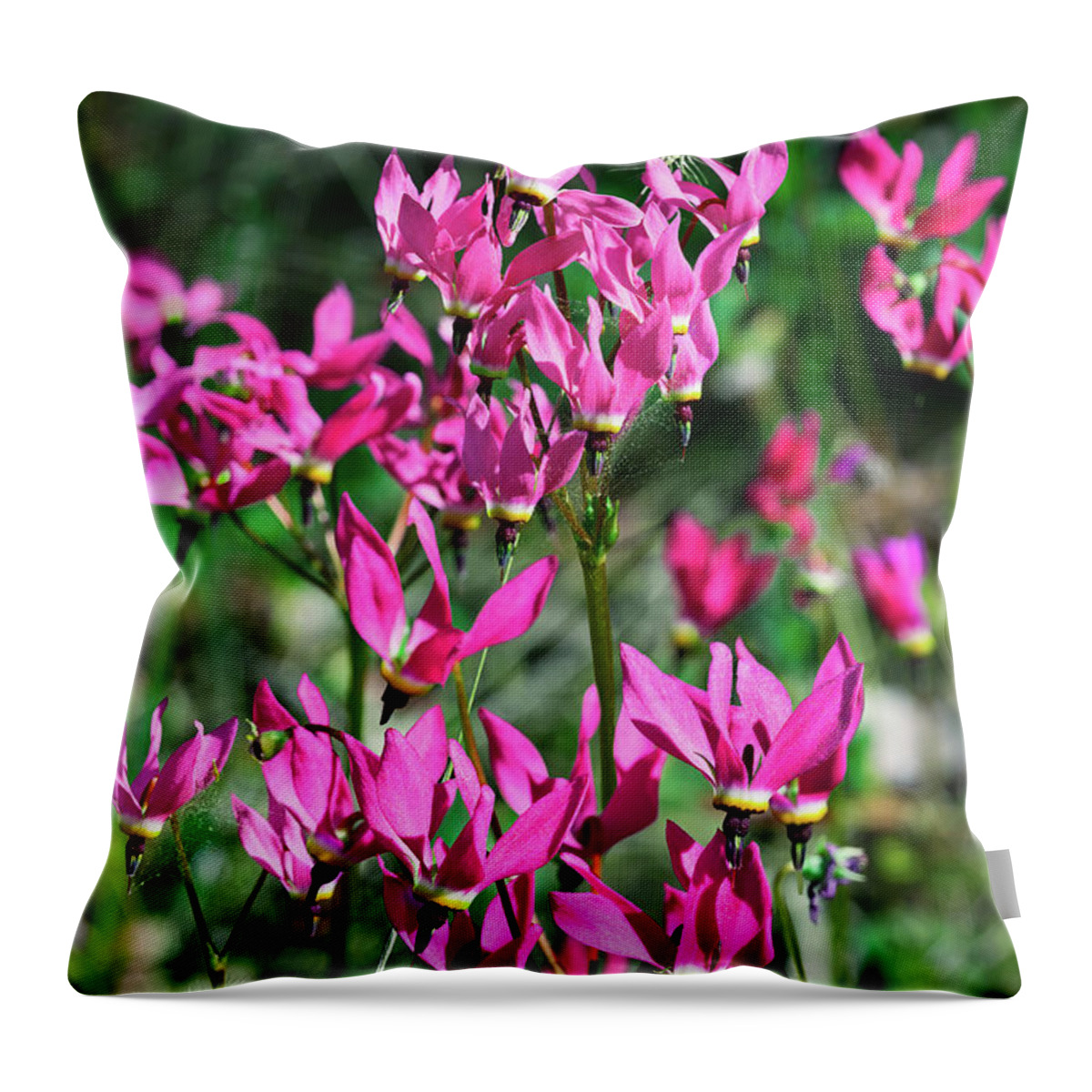 Shooting Stars Throw Pillow featuring the photograph Ephemeral Shooting Stars in Pink by Kathleen Bishop