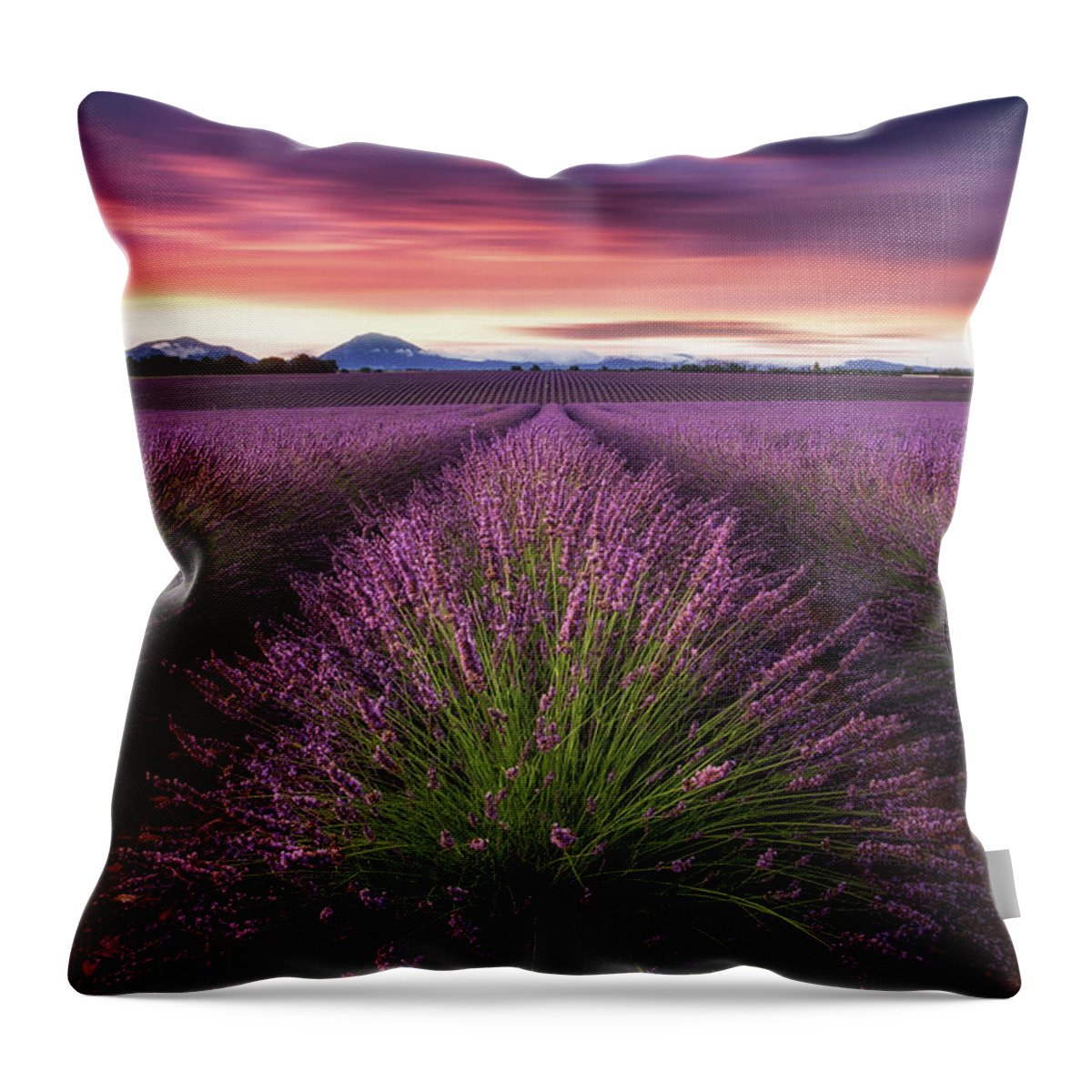 Landscape Throw Pillow featuring the photograph Epic sunrise by Jorge Maia