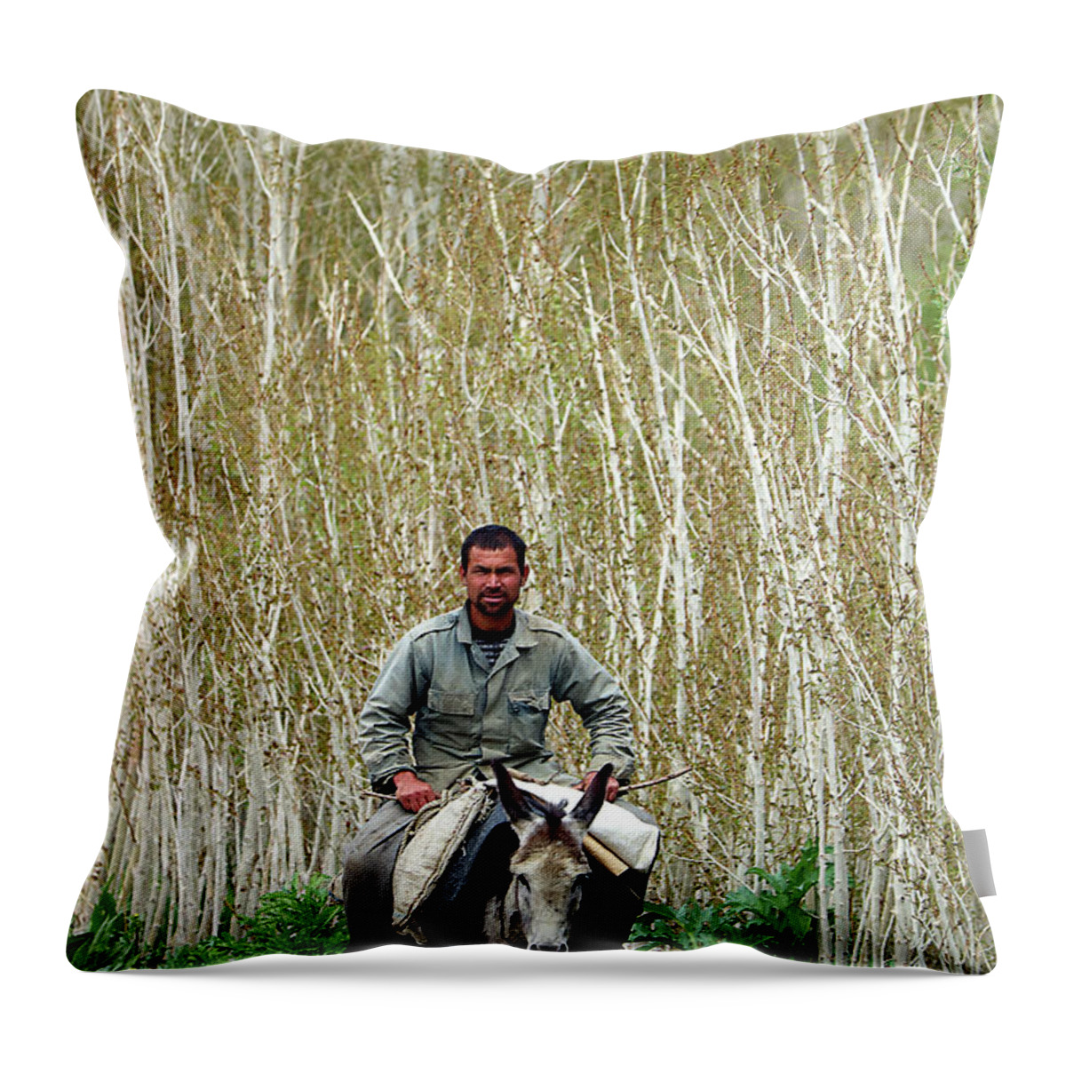  Throw Pillow featuring the photograph Afghanistan 304 by Eric Pengelly