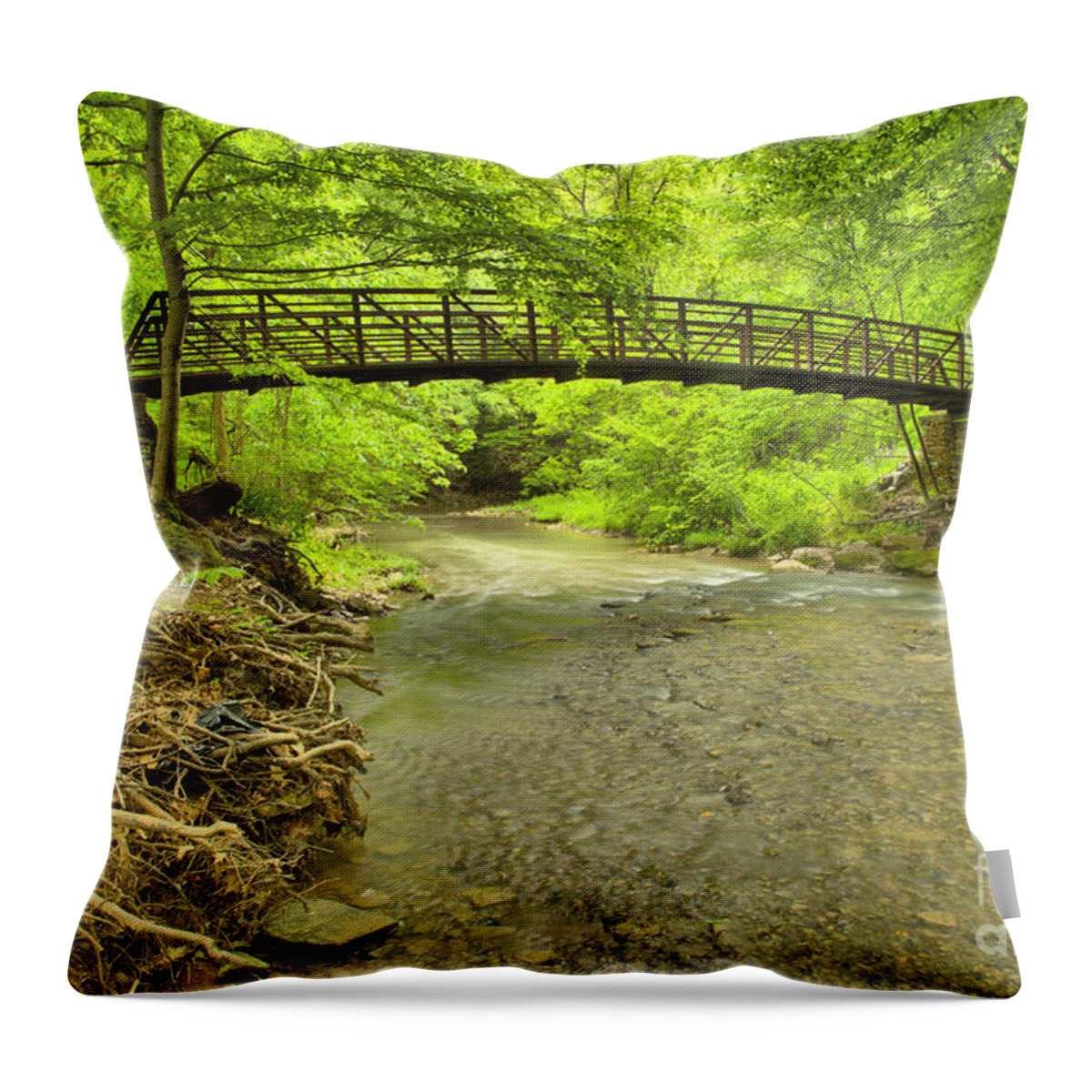 Murrysville Throw Pillow featuring the photograph Erosion By The Duff Park Bridge by Adam Jewell