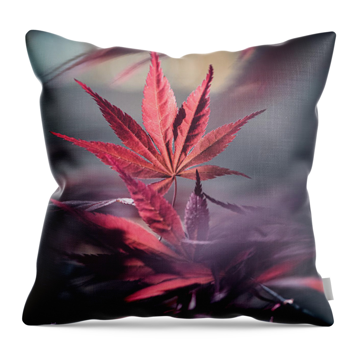 Leaves Throw Pillow featuring the photograph Eternity by Philippe Sainte-Laudy
