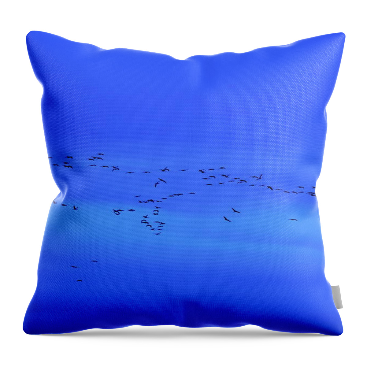 Finland Throw Pillow featuring the photograph Eurasian crane blues and sounds by Jouko Lehto