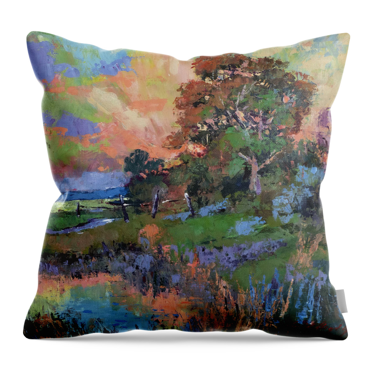 Pastoral Throw Pillow featuring the painting Evening Sky California Valley by David Lloyd Glover