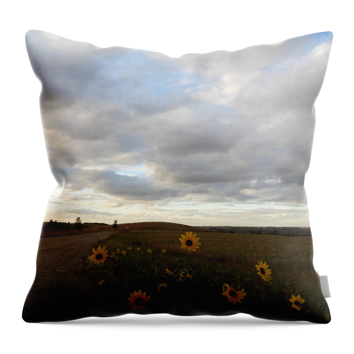 Sunflowers Throw Pillow featuring the photograph Evening Sunflowers by Amanda R Wright