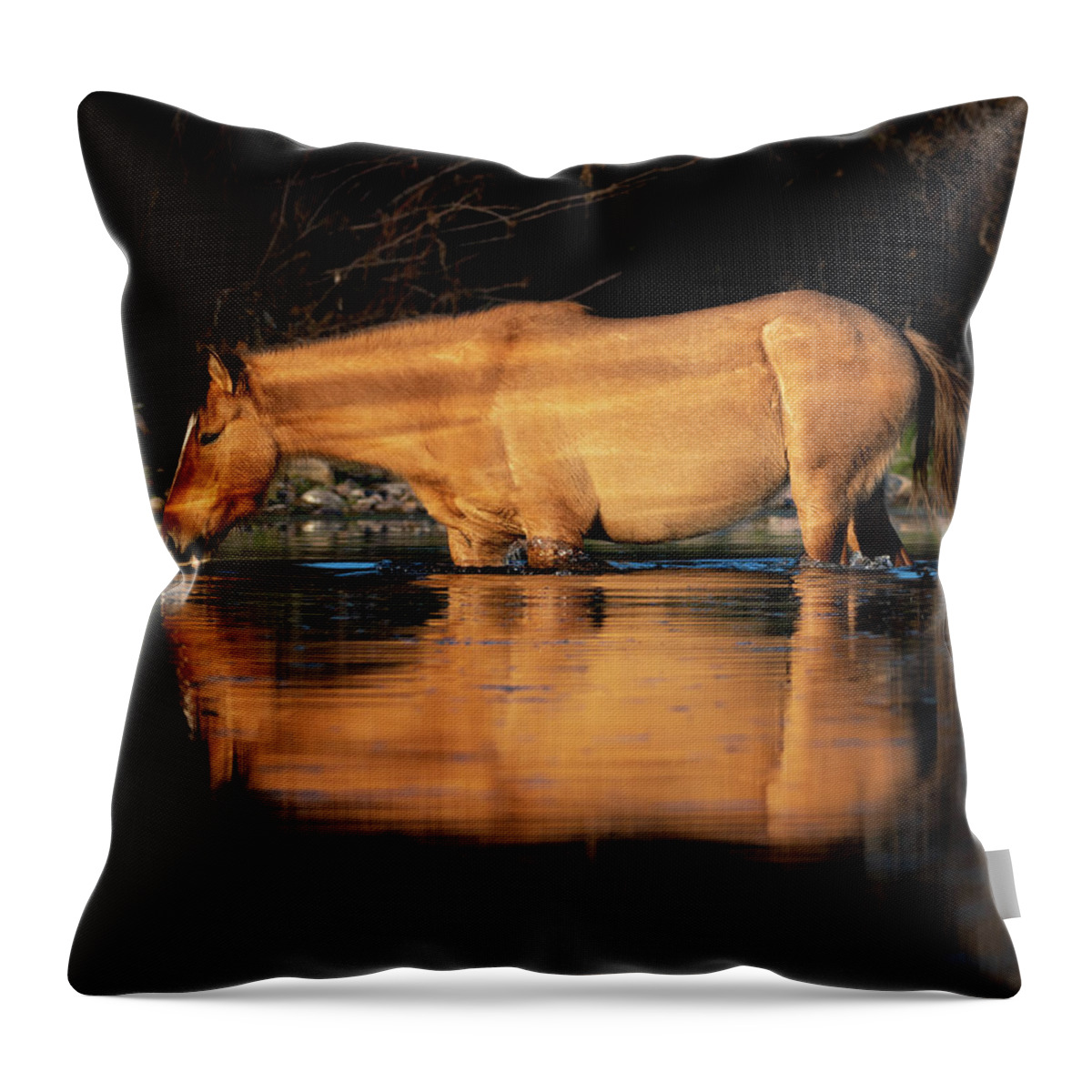 Arizona Throw Pillow featuring the photograph Evening swim by Mary Hone