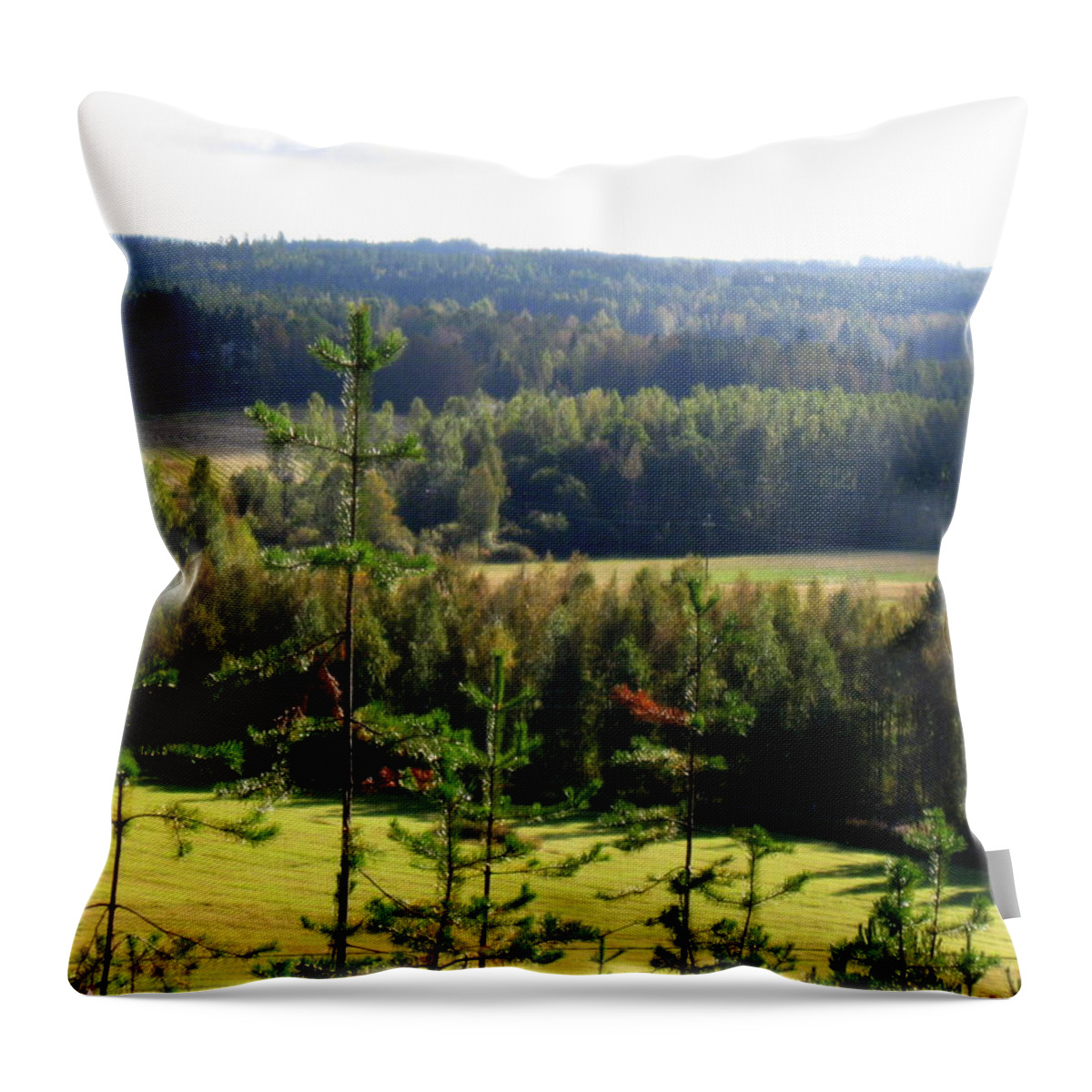 Evening Throw Pillow featuring the photograph Evening view by Pauli Hyvonen