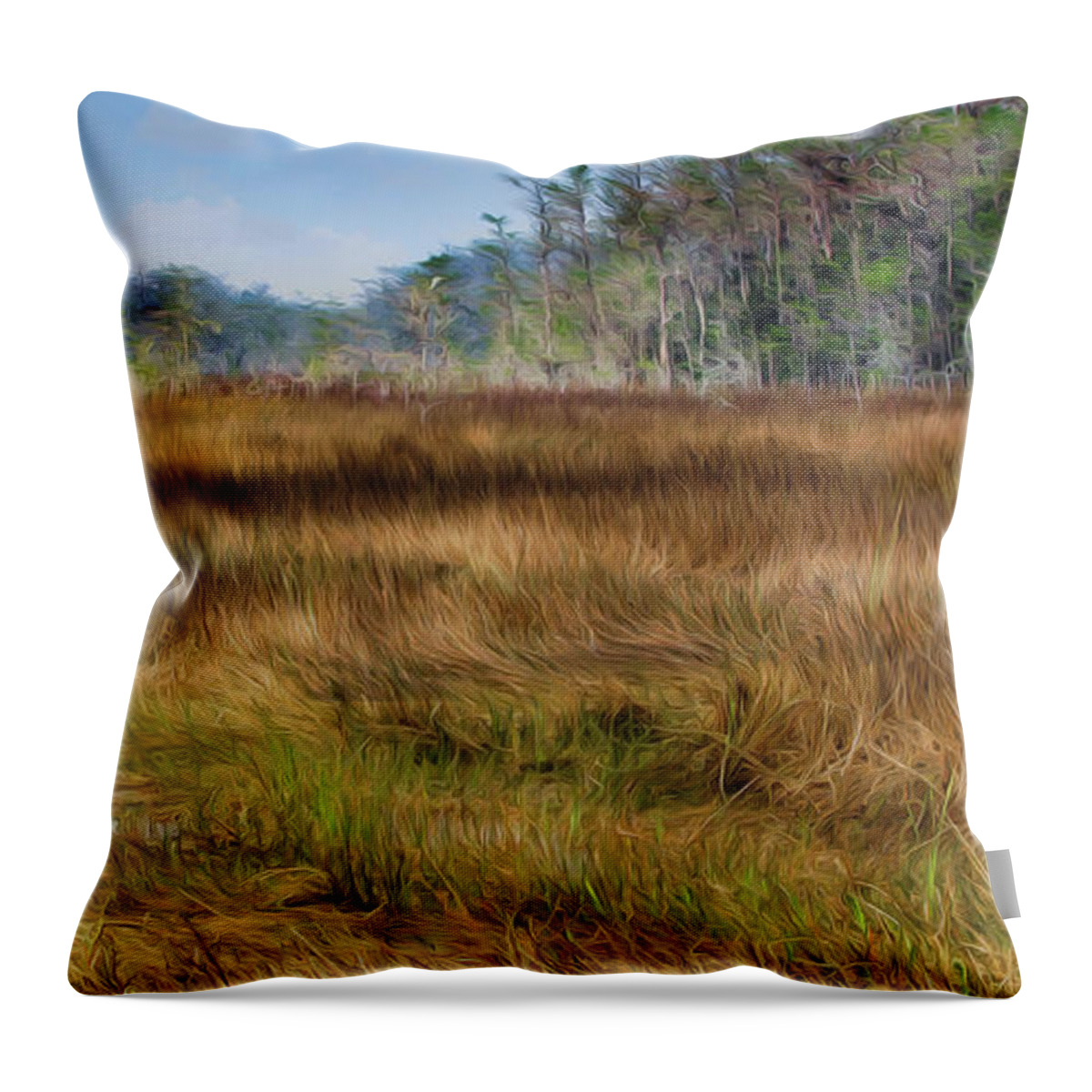 Airboat Trail Throw Pillow featuring the digital art Everglades Airboat Trail by Patti Powers