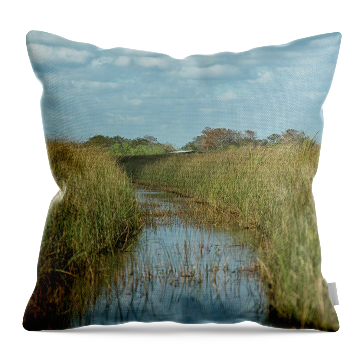 Everglades Throw Pillow featuring the photograph Everglades Trail by CR Courson