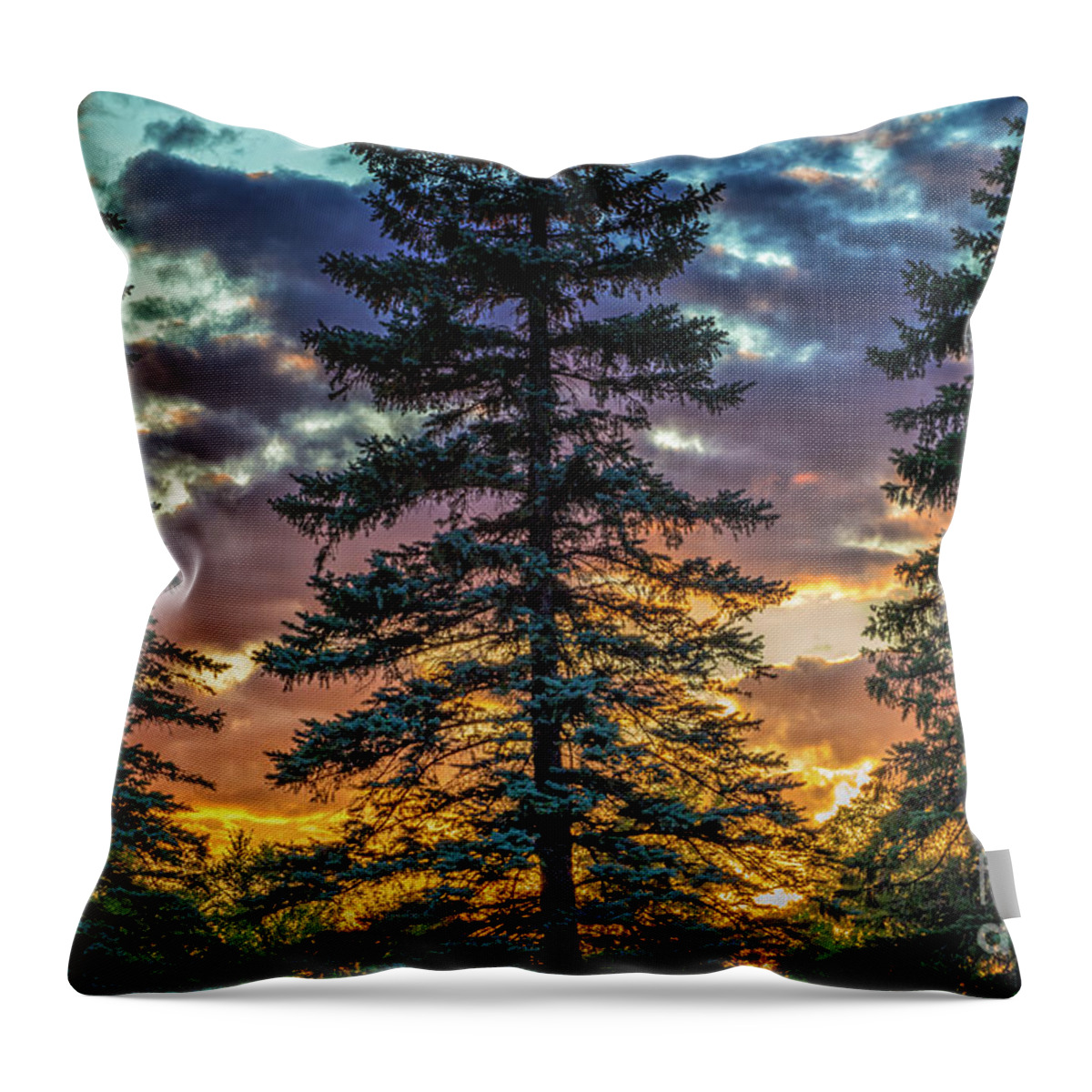 Pine Throw Pillow featuring the photograph Evergreen by Becqi Sherman