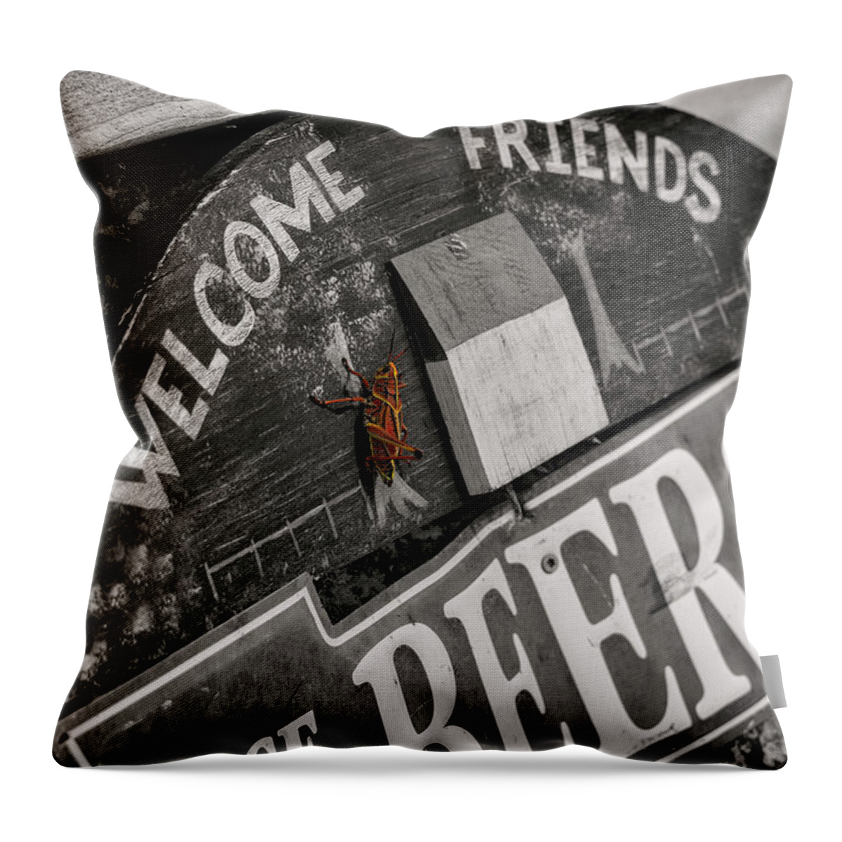 Sign Throw Pillow featuring the photograph Everyone Welcome by Carolyn Hutchins