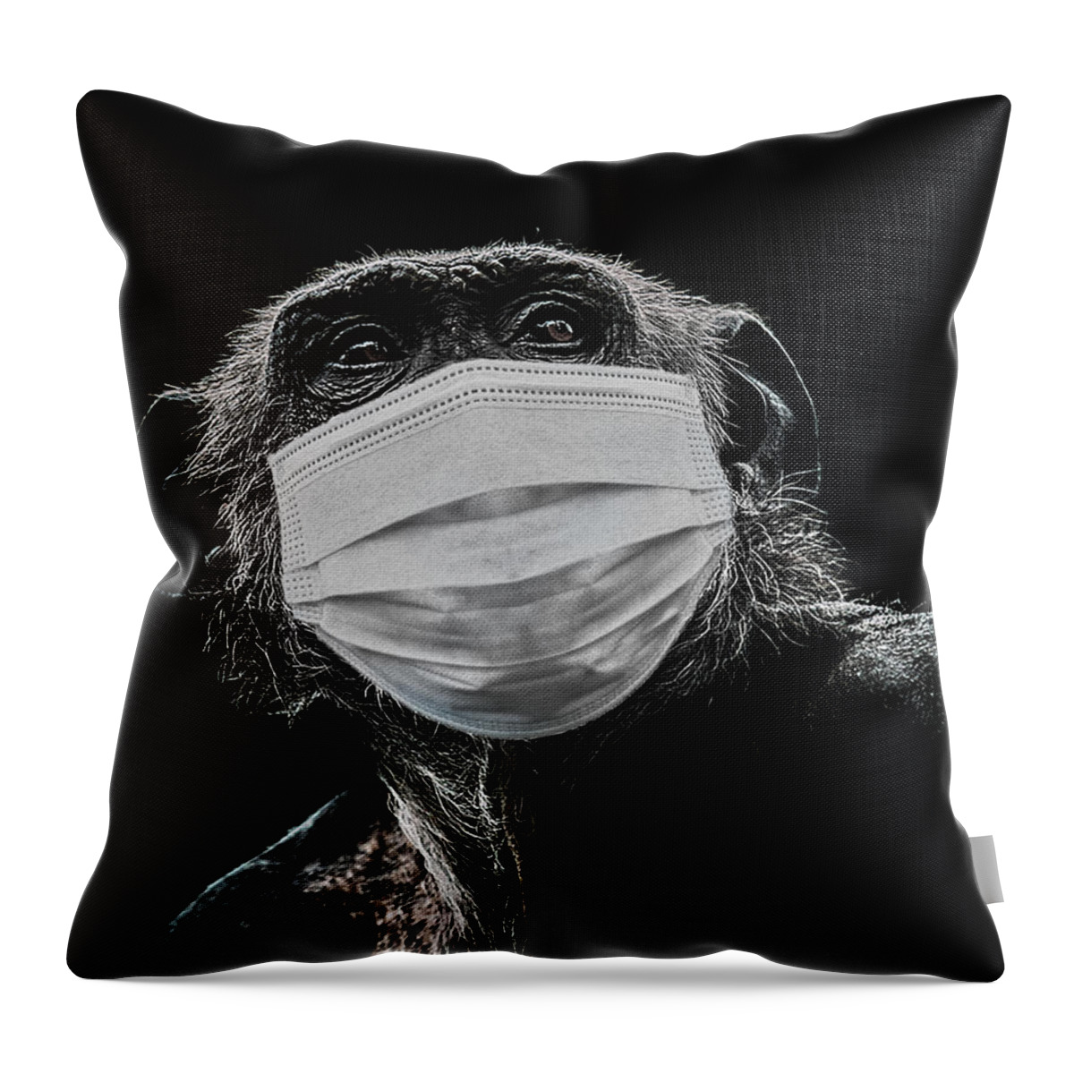 Chimpanzee Throw Pillow featuring the photograph Evolution by Paul Neville