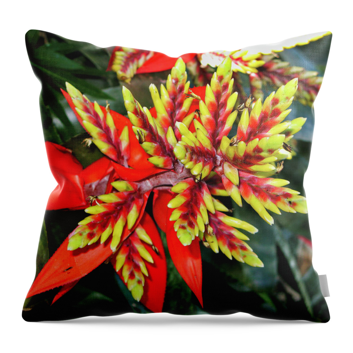 Flora Throw Pillow featuring the photograph Exotic flower by Segura Shaw Photography