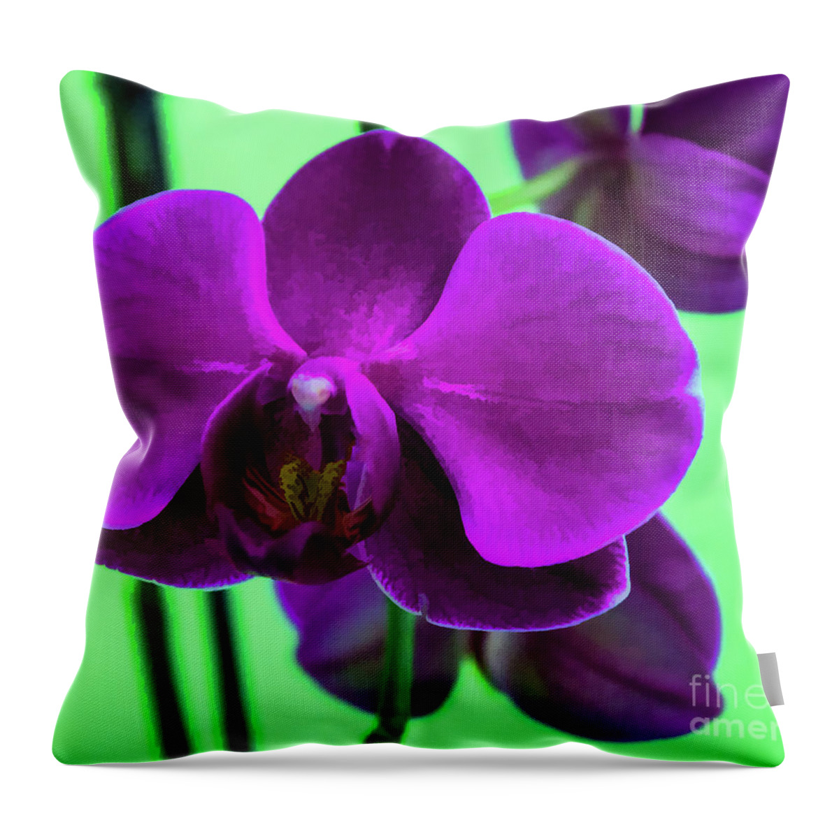 Exposed Throw Pillow featuring the photograph Exposed Orchid by Roberta Byram