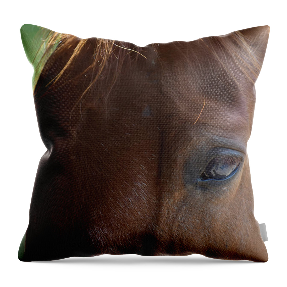 Paint Horse Throw Pillow featuring the photograph Eye of the Soul by Listen To Your Horse