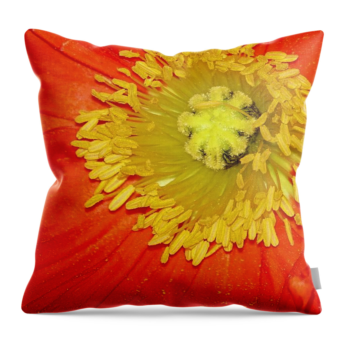 Flower Throw Pillow featuring the photograph Eye Poppin Poppy by Lori Lafargue