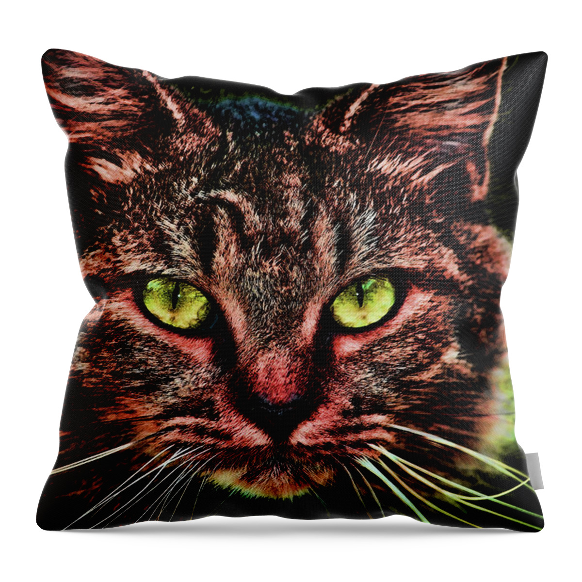Cat Throw Pillow featuring the photograph Eyes of the Cat by Cathy Harper