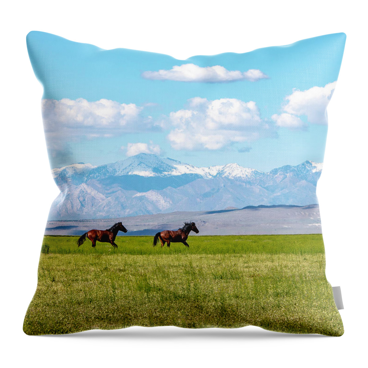  Throw Pillow featuring the photograph Face Mask Running in Grass by Dirk Johnson