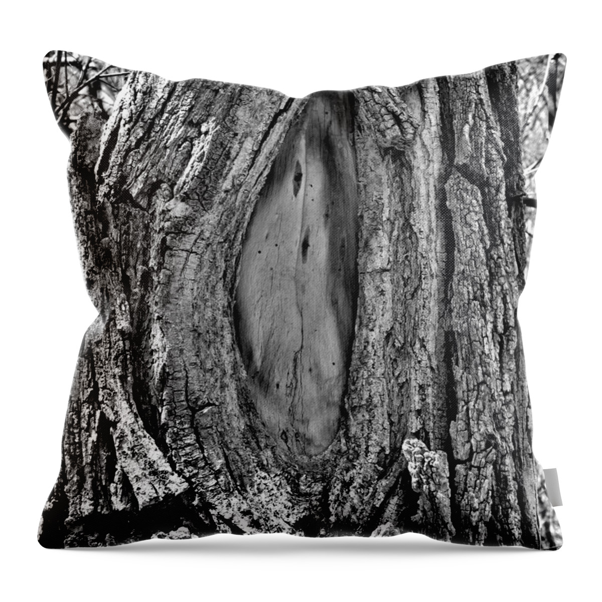 Scar Throw Pillow featuring the photograph Face of a Tree by Amanda R Wright