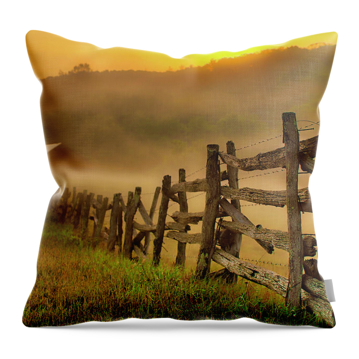 North Carolina Throw Pillow featuring the photograph Fade Away Fence by Dan Carmichael