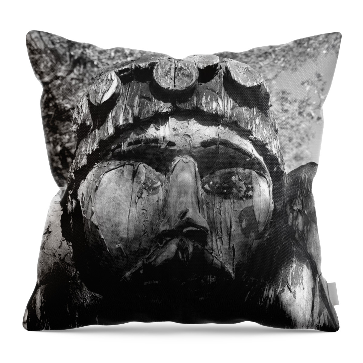 Fading Beauty Throw Pillow featuring the photograph Fading beauty by David Lee Thompson