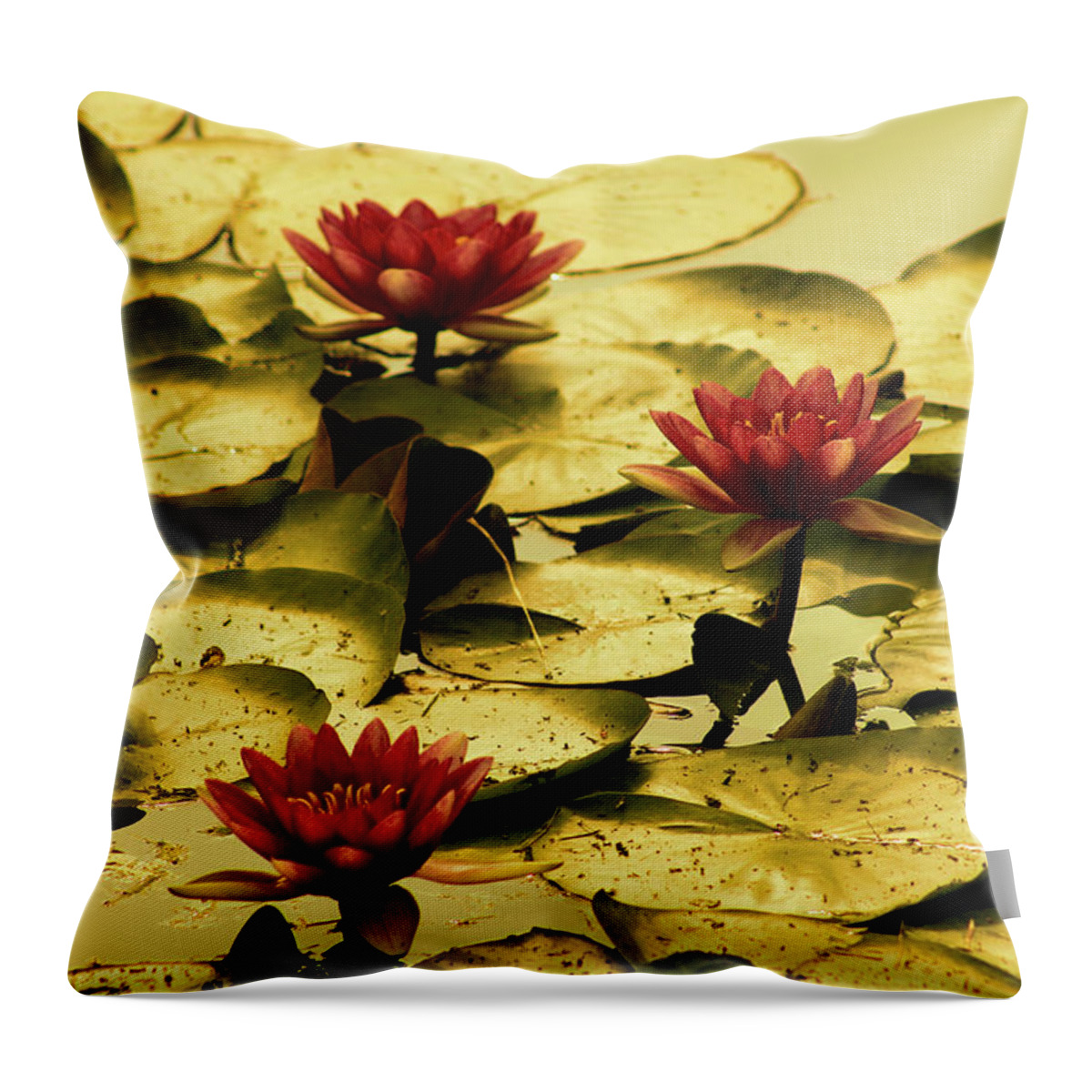 Pond Throw Pillow featuring the photograph Fading of Summer by Christopher Reed