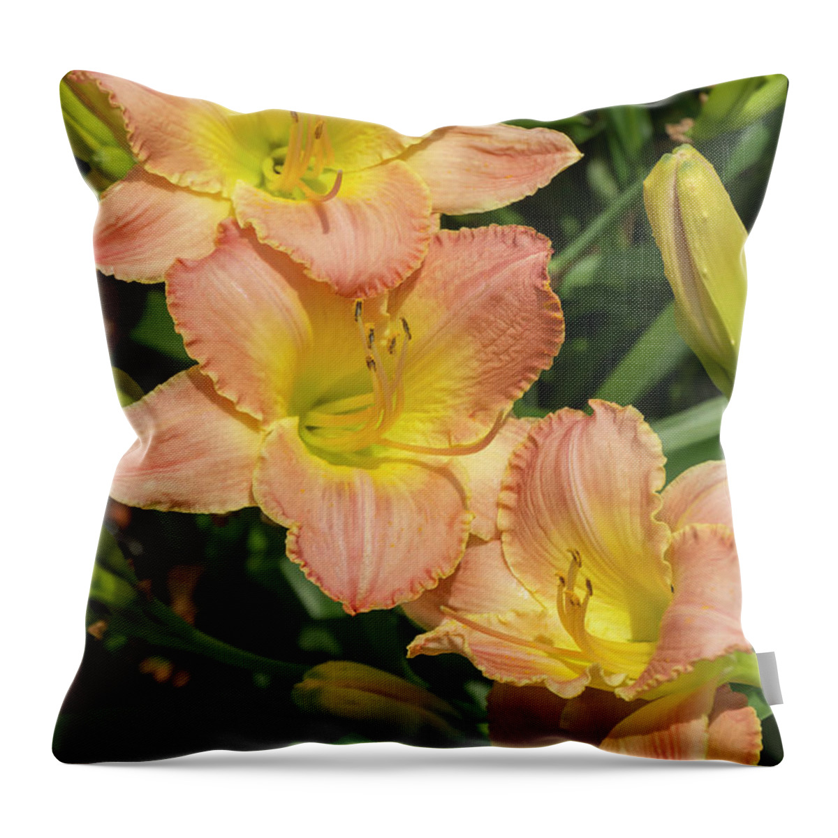 Lily Throw Pillow featuring the photograph Fairy Tale Pink Daylily by Dawn Cavalieri
