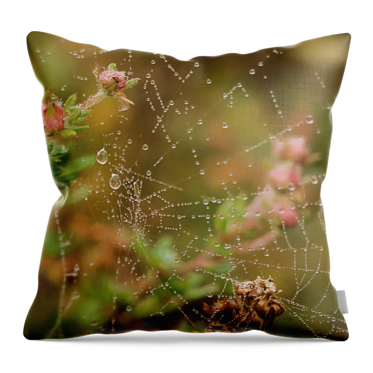 Fairy Whispers Throw Pillow featuring the photograph Fairy Whispers - Nature Art by Jordan Blackstone