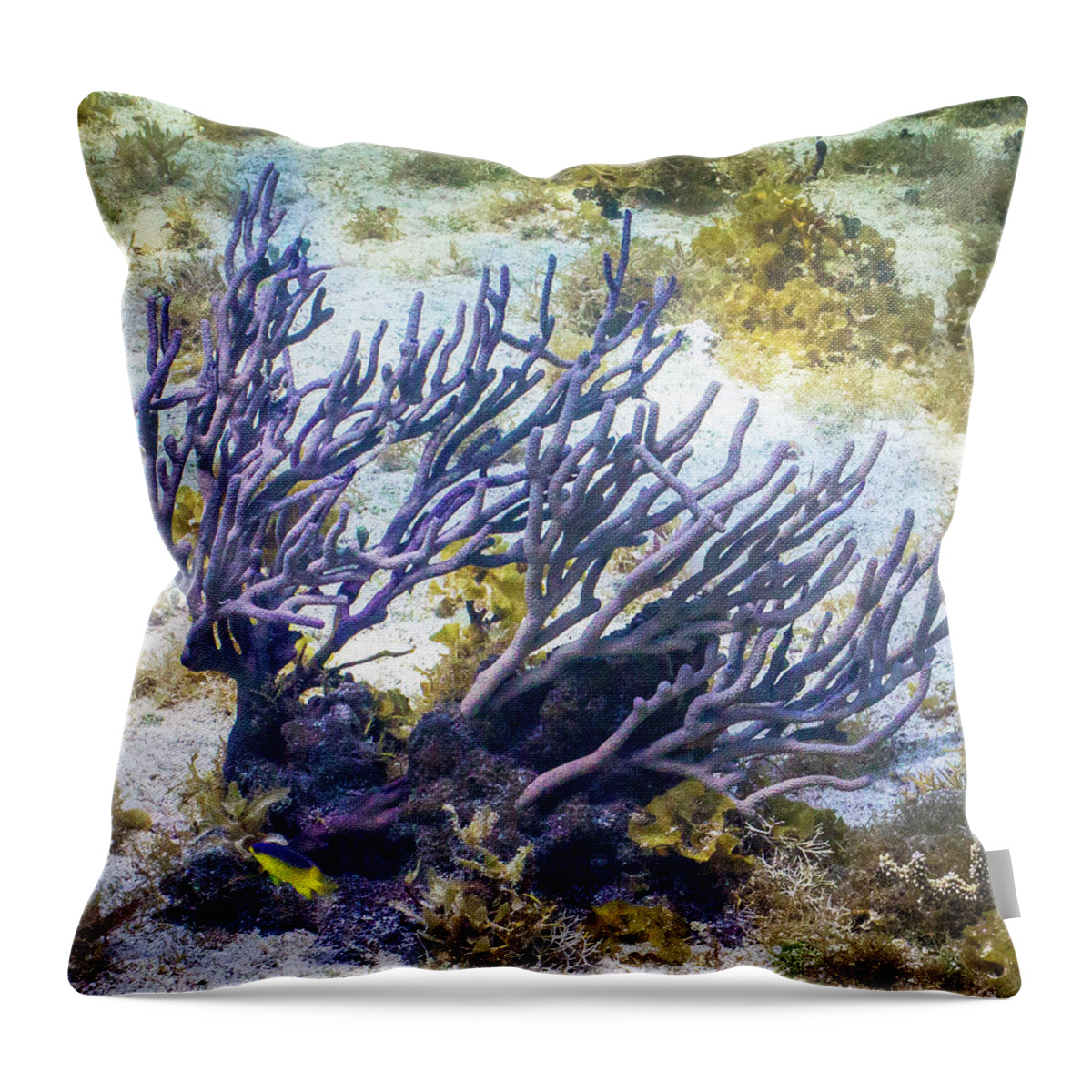 Fish Throw Pillow featuring the photograph Fairytail Land by Lynne Browne
