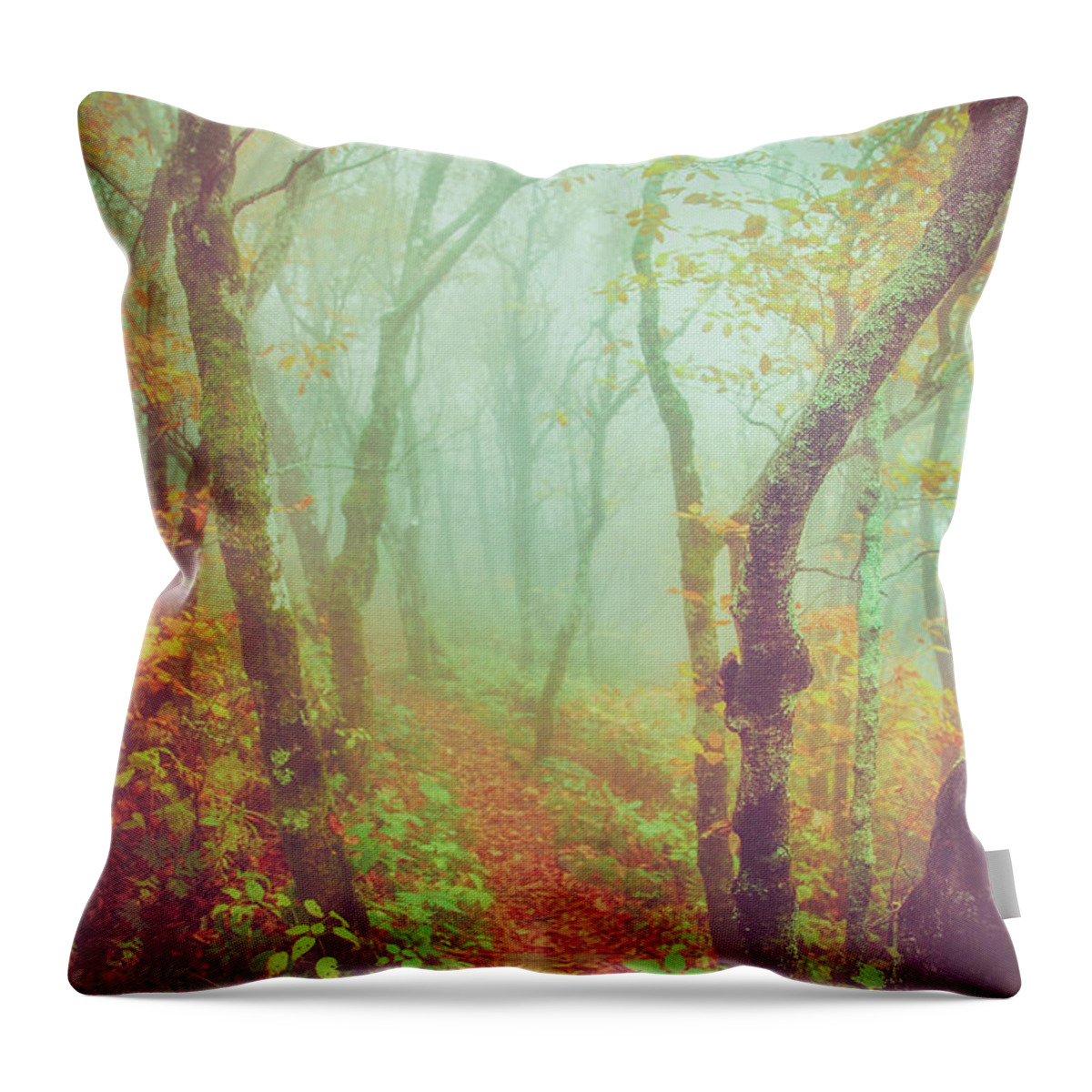Autumn Throw Pillow featuring the photograph Fairytale Fall by Carrie Ann Grippo-Pike