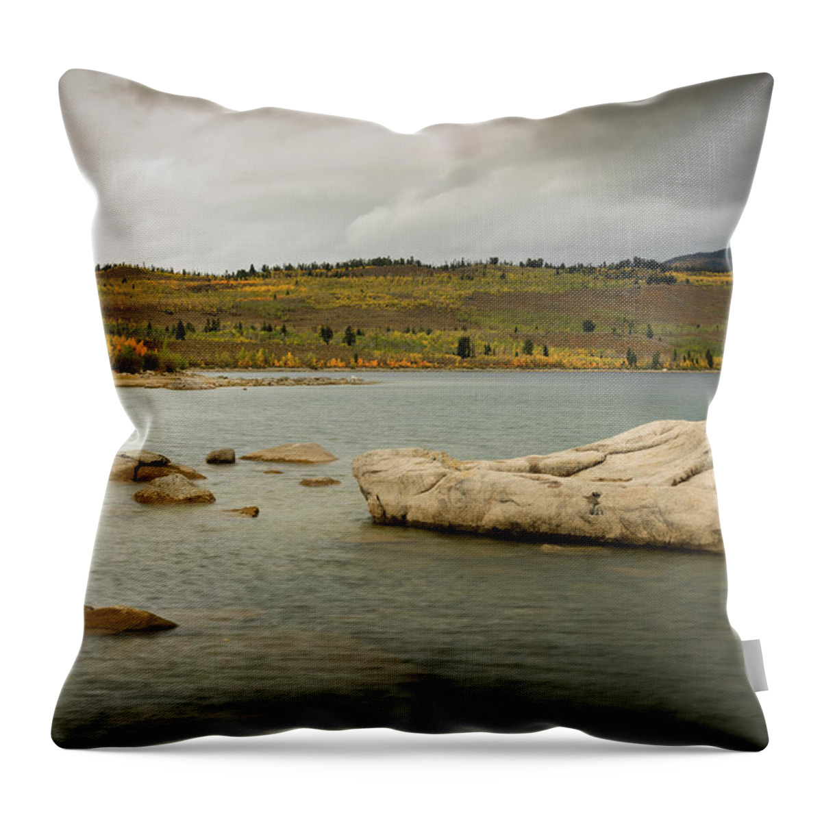 Fall Throw Pillow featuring the photograph Fall At New Fork Lake, Wyoming by Julieta Belmont