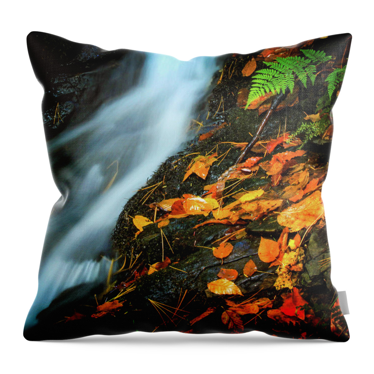 Fall Beside A Forest Stream Throw Pillow featuring the photograph Fall Beside a Forest Stream by Carolyn Derstine