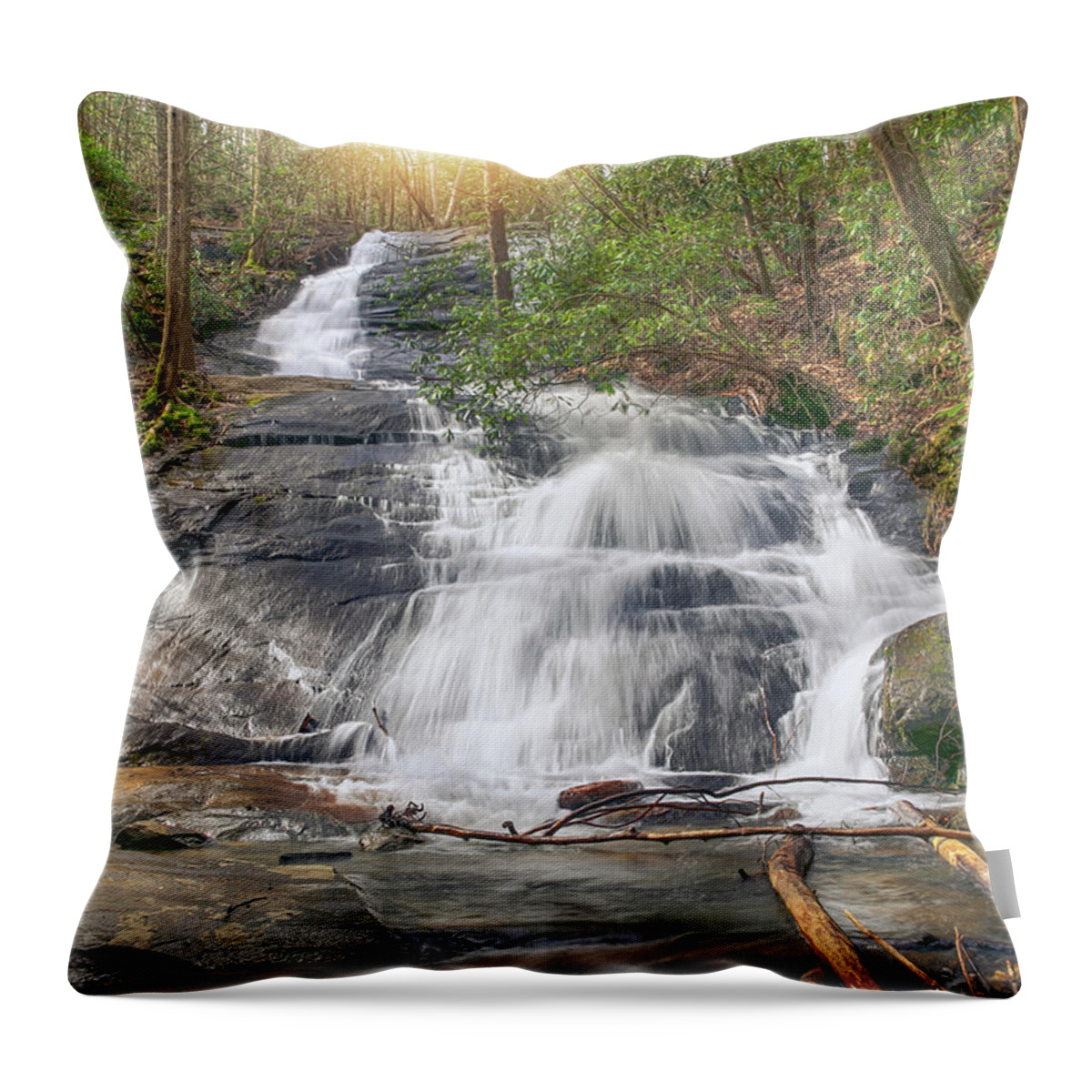 Fall Branch Falls Throw Pillow featuring the photograph Fall Branch Falls by Anna Rumiantseva