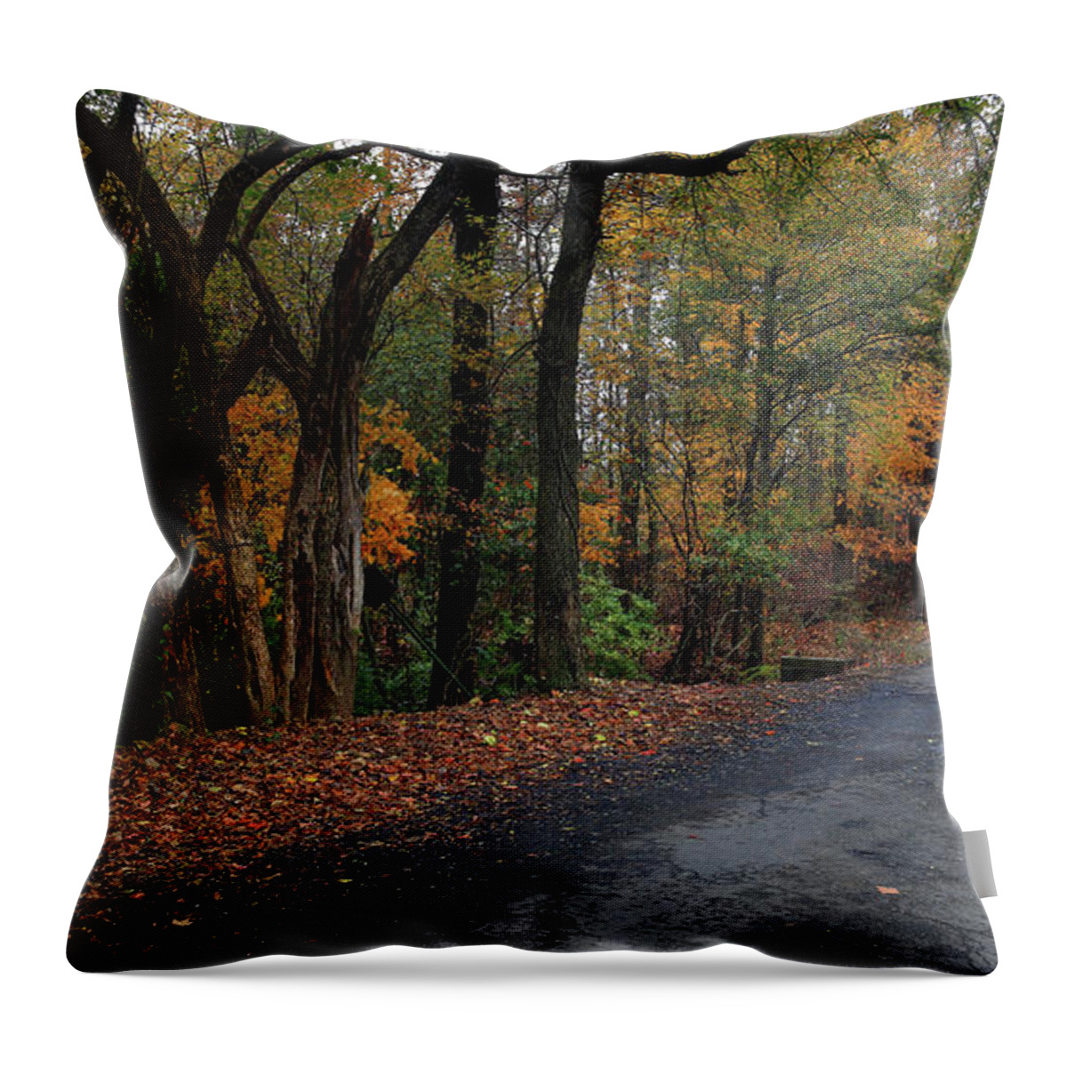  Throw Pillow featuring the photograph Fall bridge ouachita by William Rainey