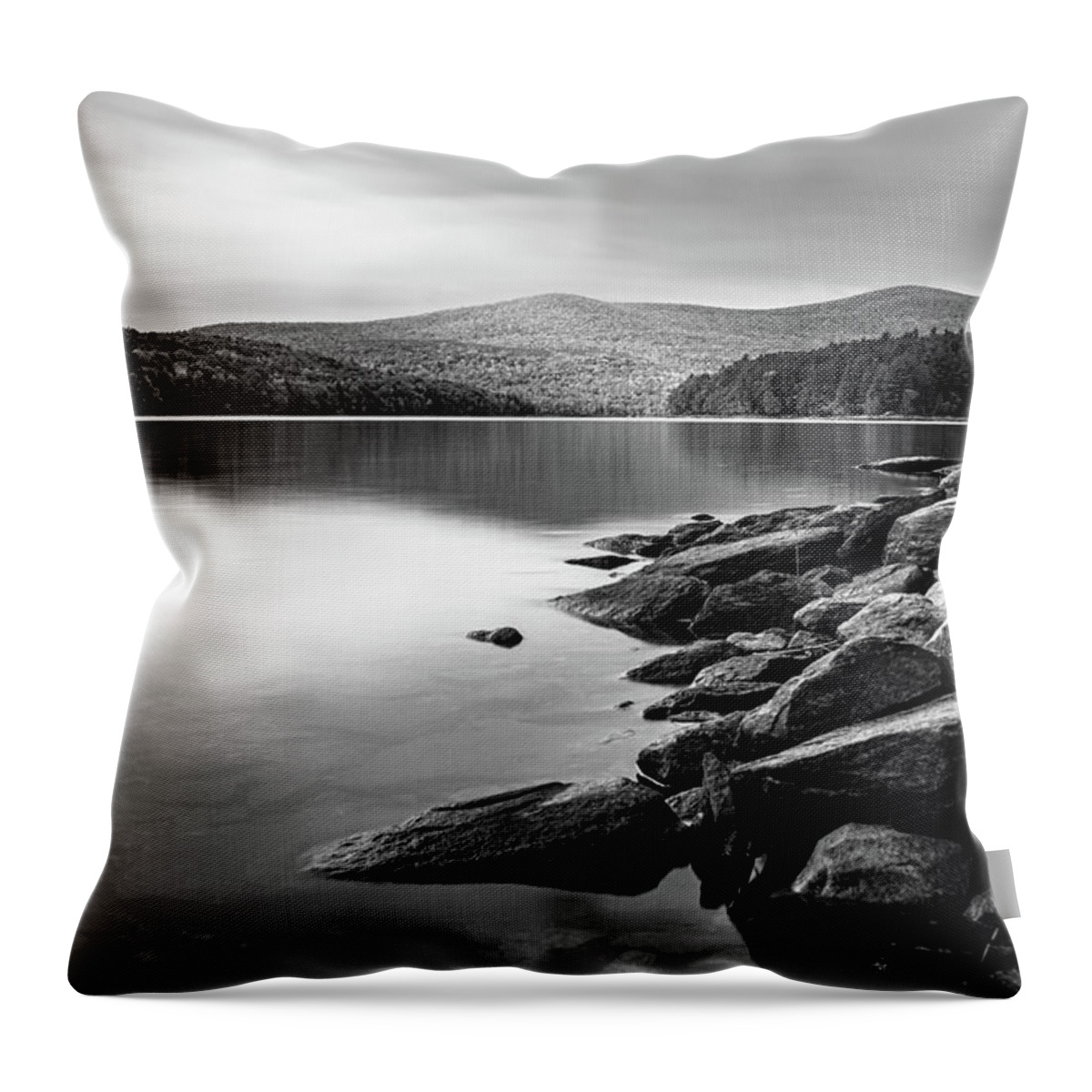 Wilmington Throw Pillow featuring the photograph Fall Calm in Black and White by Dimitry Papkov