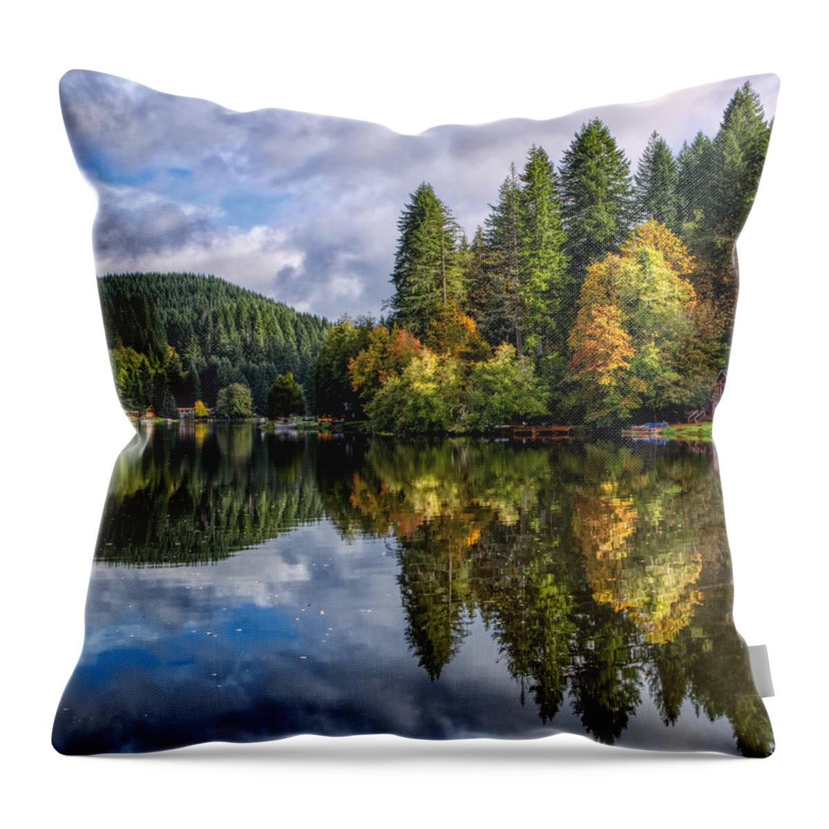 Tree Throw Pillow featuring the photograph Fall Color Reflections by Loyd Towe Photography