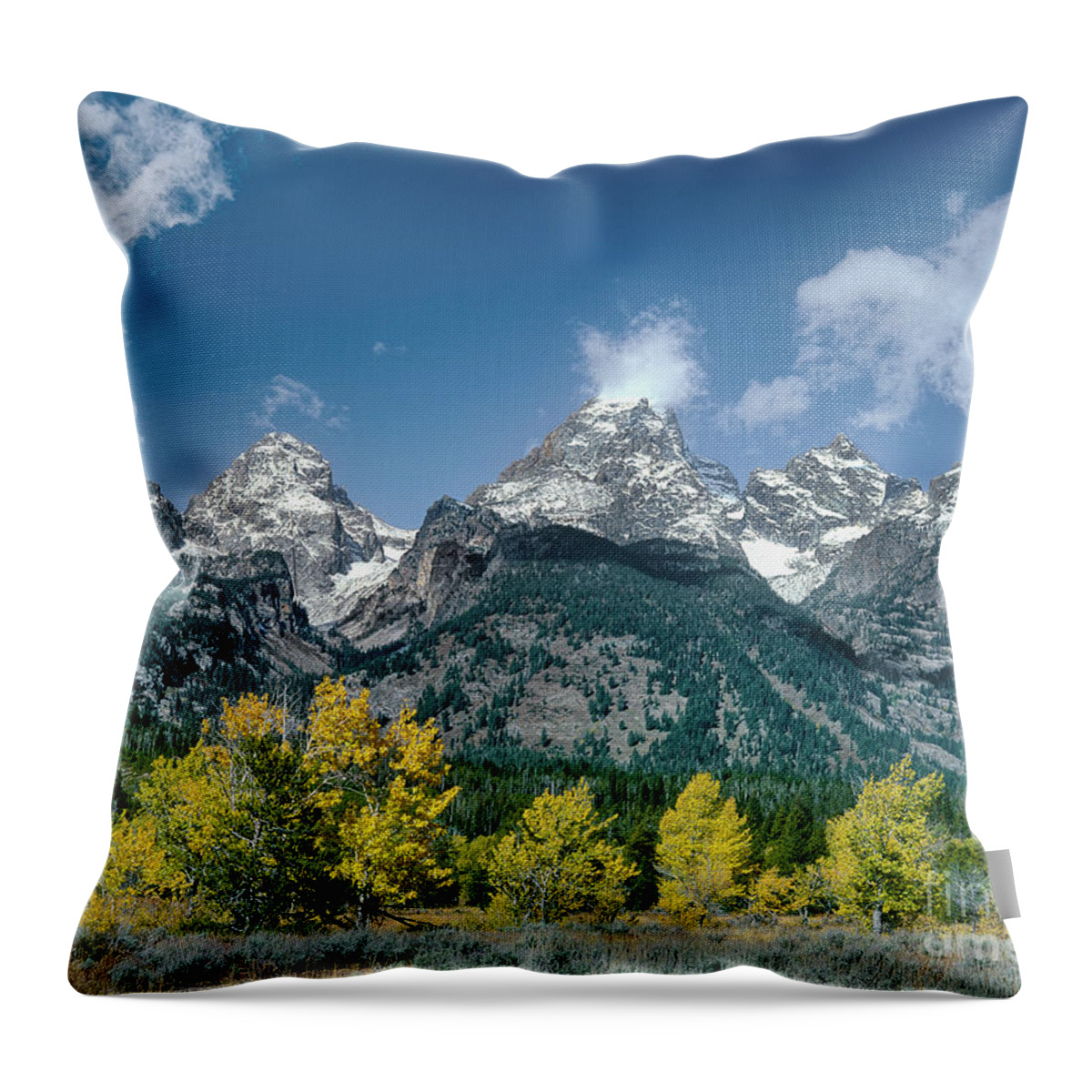 Dave Welling Throw Pillow featuring the photograph Fall Color Teton Range Grand Tetons National Park by Dave Welling