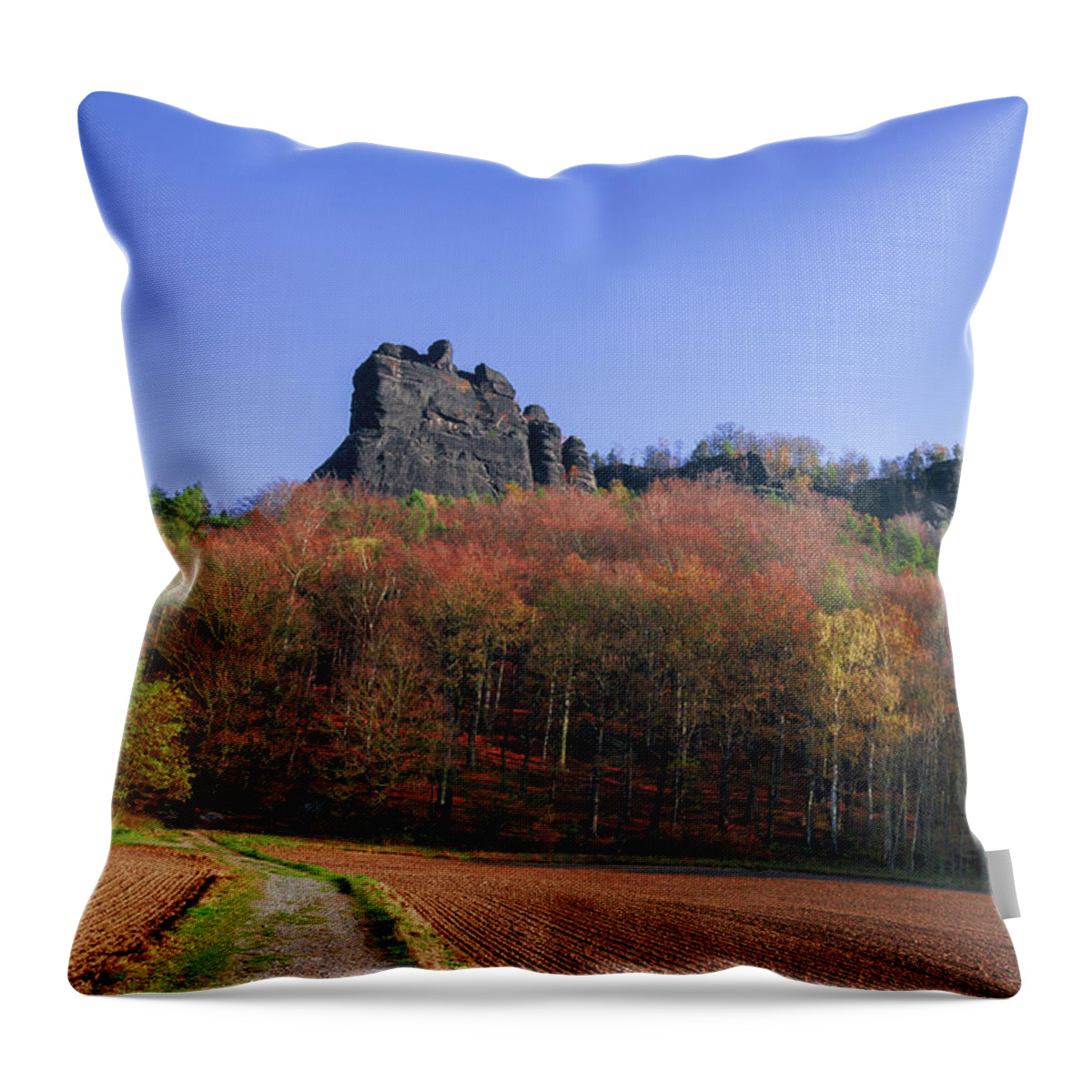 Saxon Switzerland Throw Pillow featuring the photograph Fall colors around Lilienstein mountain by Sun Travels