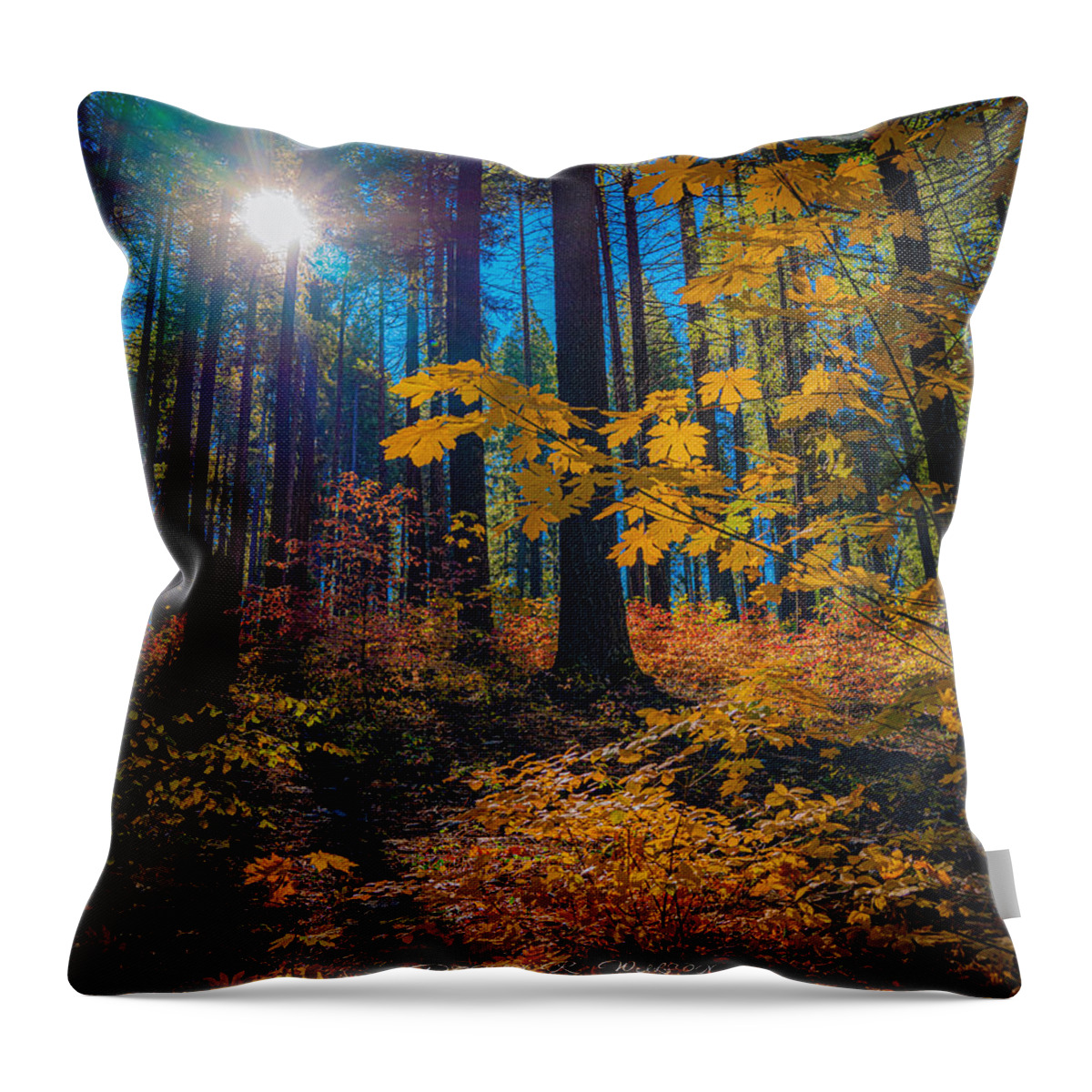 Landscape Throw Pillow featuring the photograph Fall colors in the Sierrras by Devin Wilson