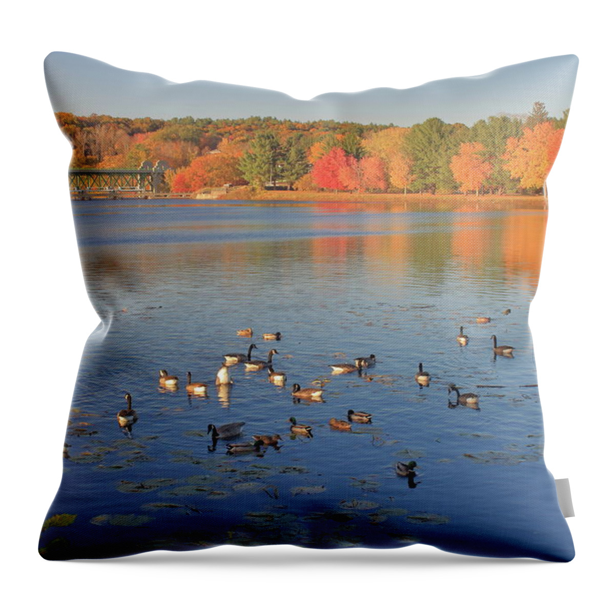 Connecticut River Throw Pillow featuring the photograph Fall Foliage and Waterfowl on the Connecticut River by John Burk