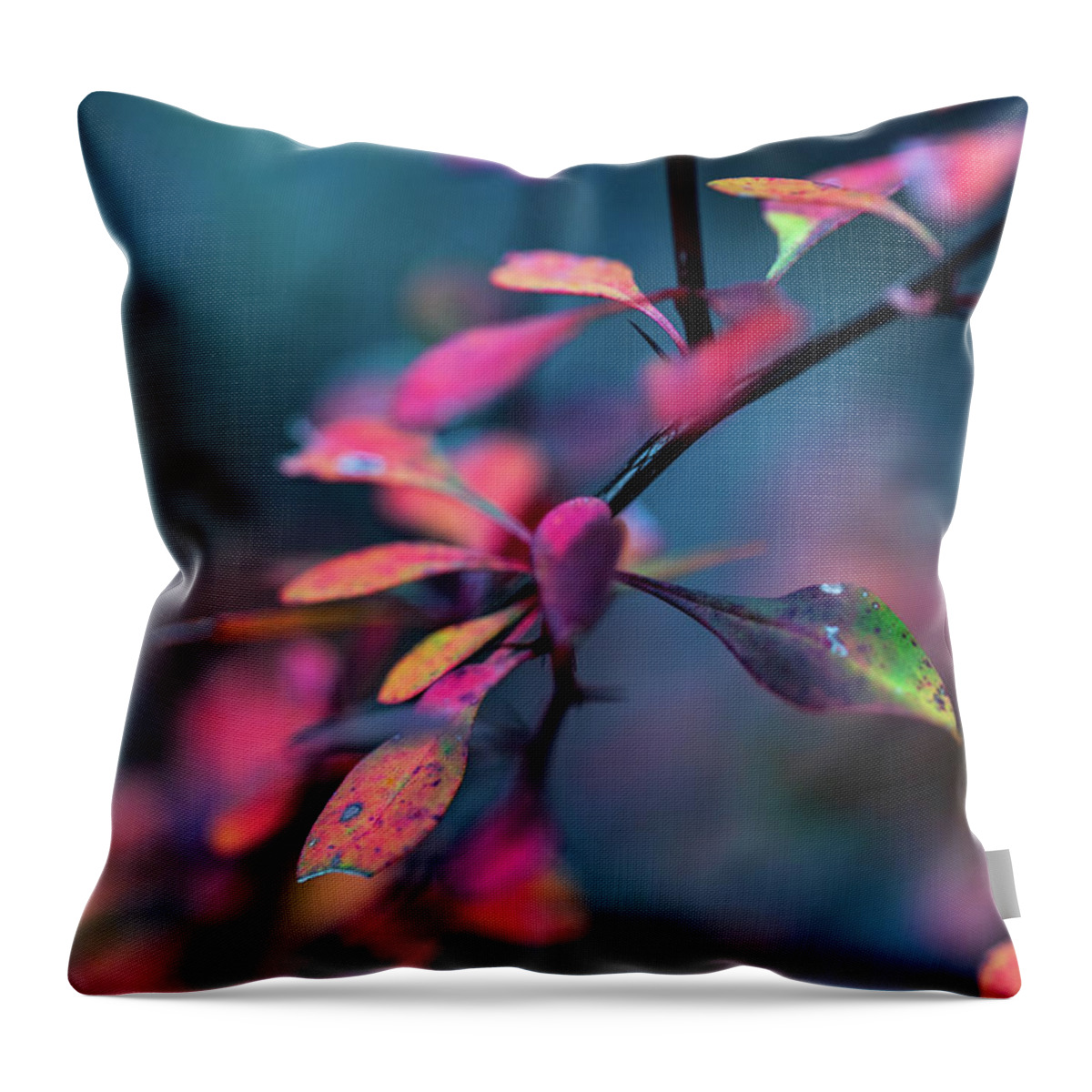 Plants Throw Pillow featuring the photograph Fall Foliage in the Hudson Valley by Amelia Pearn