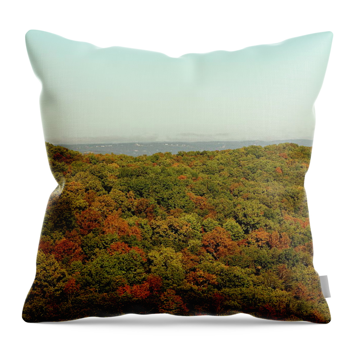 Table Rock Lake Throw Pillow featuring the photograph Fall Foliage by Lens Art Photography By Larry Trager