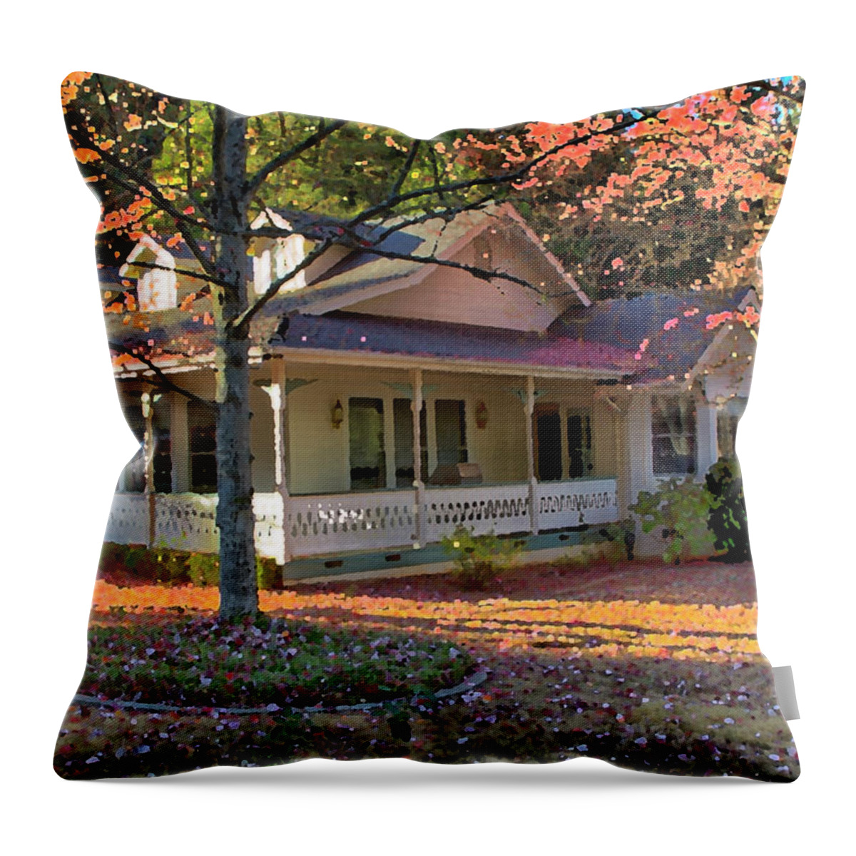 Fall Throw Pillow featuring the photograph Fall in NC by Tom Kelly
